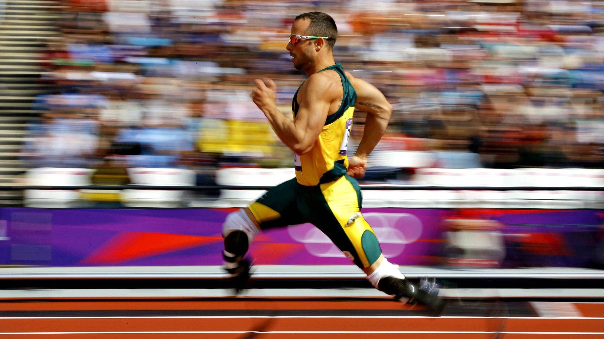 决战沙滩排球：阳光海岸的激情碰撞，沙滩排球冠军赛