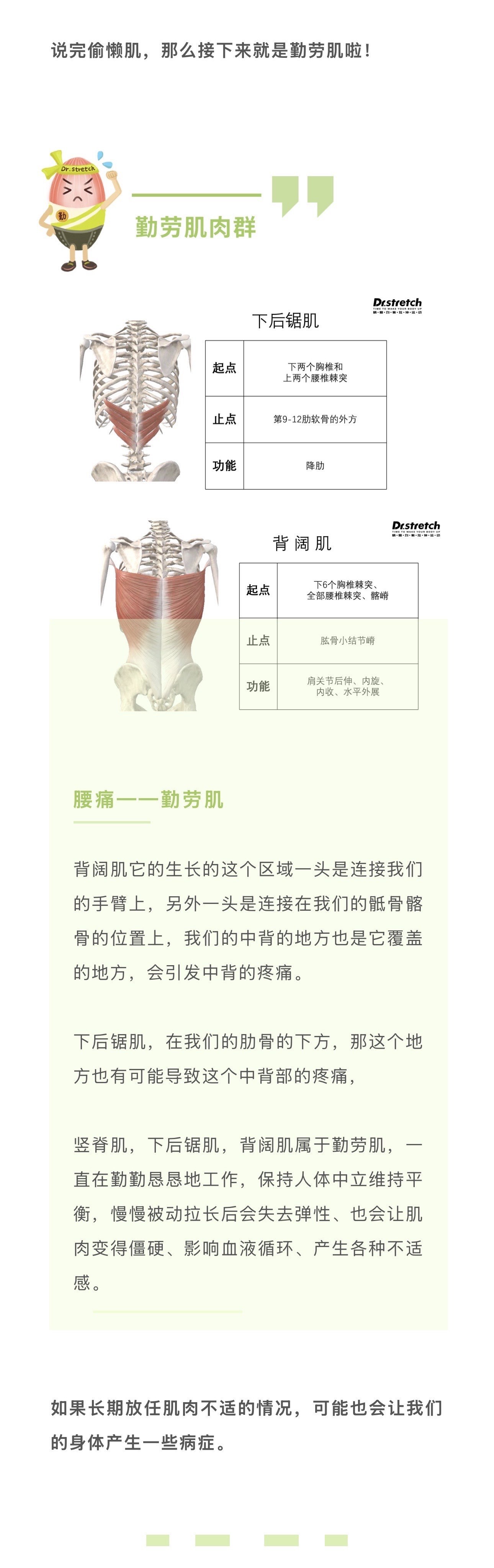 为什么运动后要拉伸？科学告诉你答案 